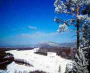 呼中天气预报15天