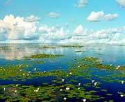 宝清天气预报60天