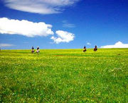 蔚县天气预报15天