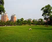 大宁天气预报15天