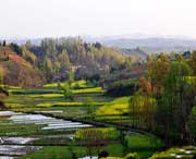 洋县天气预报60天