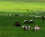 海北州明天天气