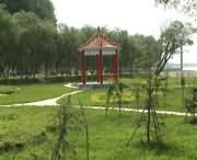 原阳天气预报15天