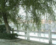 商城天气预报40天