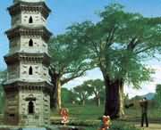 太康天气预报40天