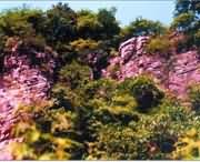 遂平天气预报40天