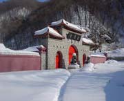 新洲天气预报40天