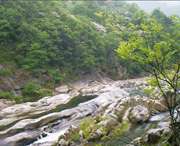 花山天气预报40天