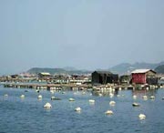 连江天气预报15天