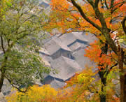 三穗天气预报15天