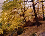 盘县天气预报15天