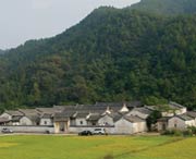 大埔天气预报40天