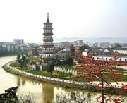 罗定天气预报60天