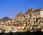 香格里拉明天天气